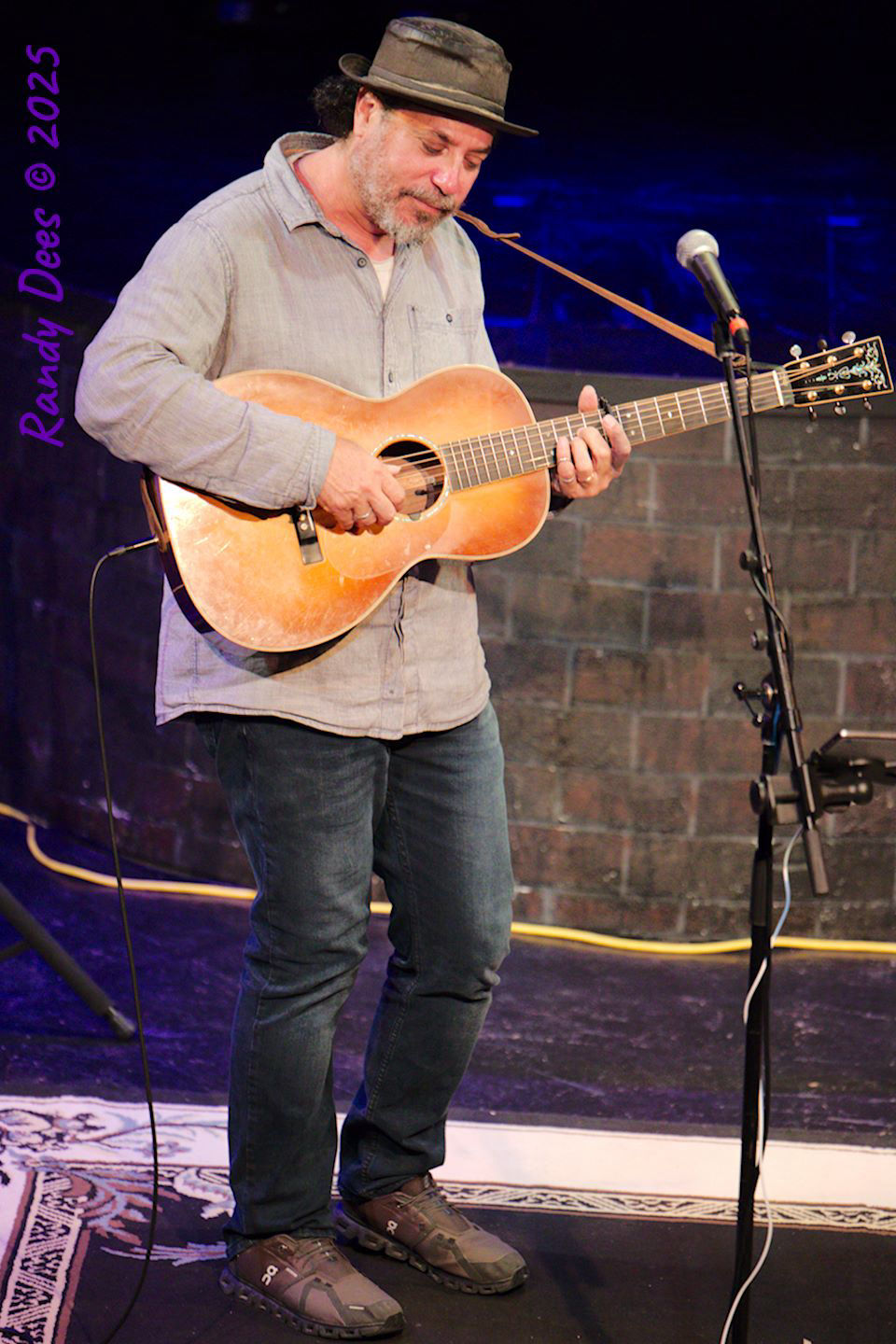 Stars Over Wimberley