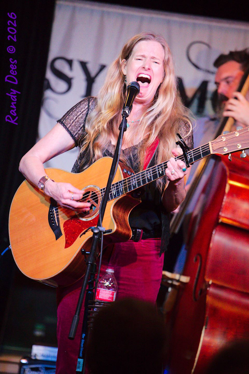 Sycamore Creek Concerts