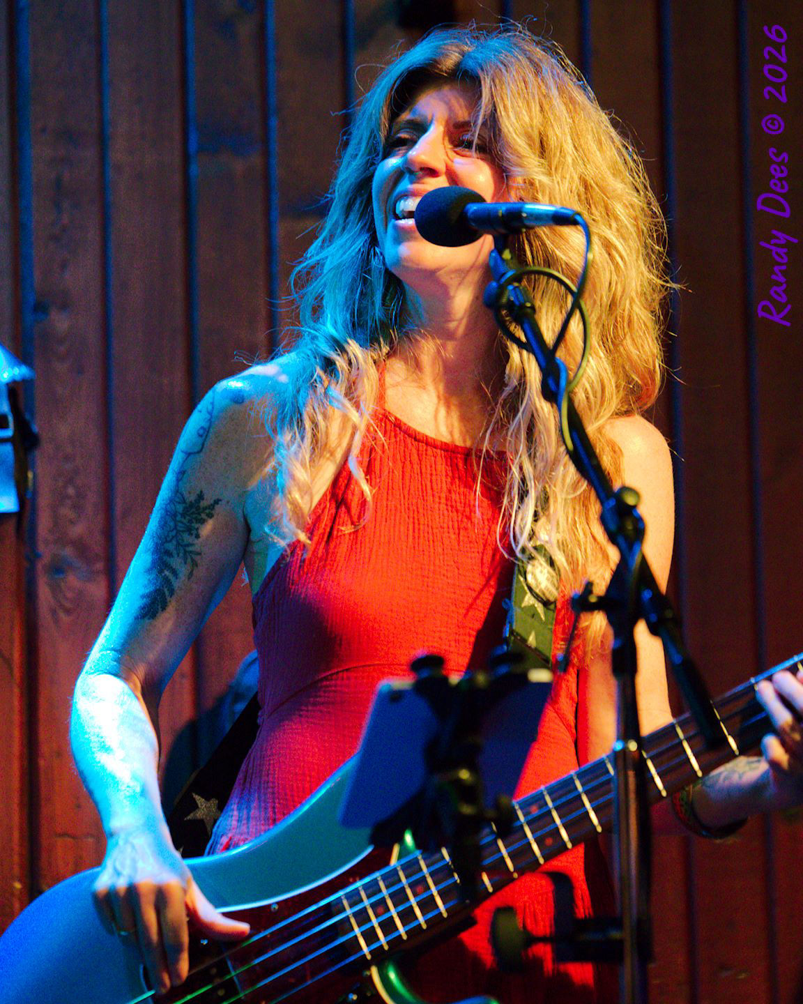 Sister Golden Hair the Band