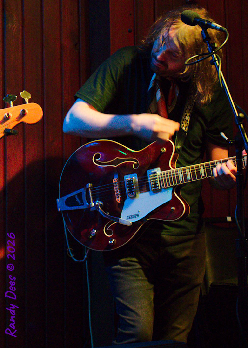 Sister Golden Hair the Band