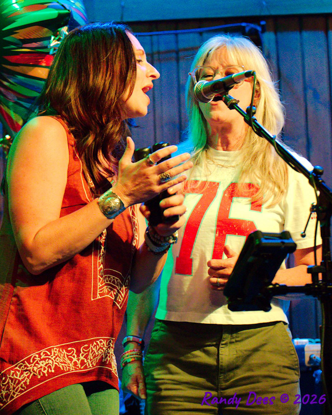 Sister Golden Hair the Band