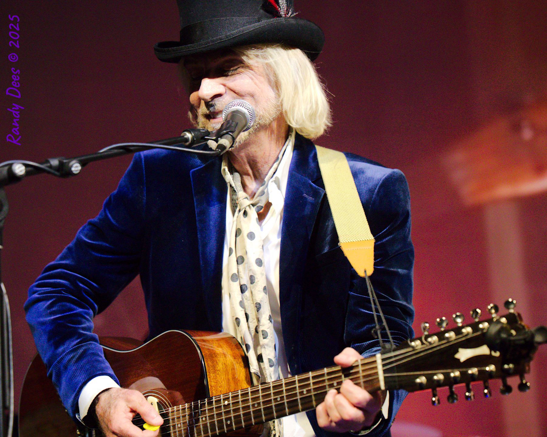 The Traveling Wilburys & Beyond