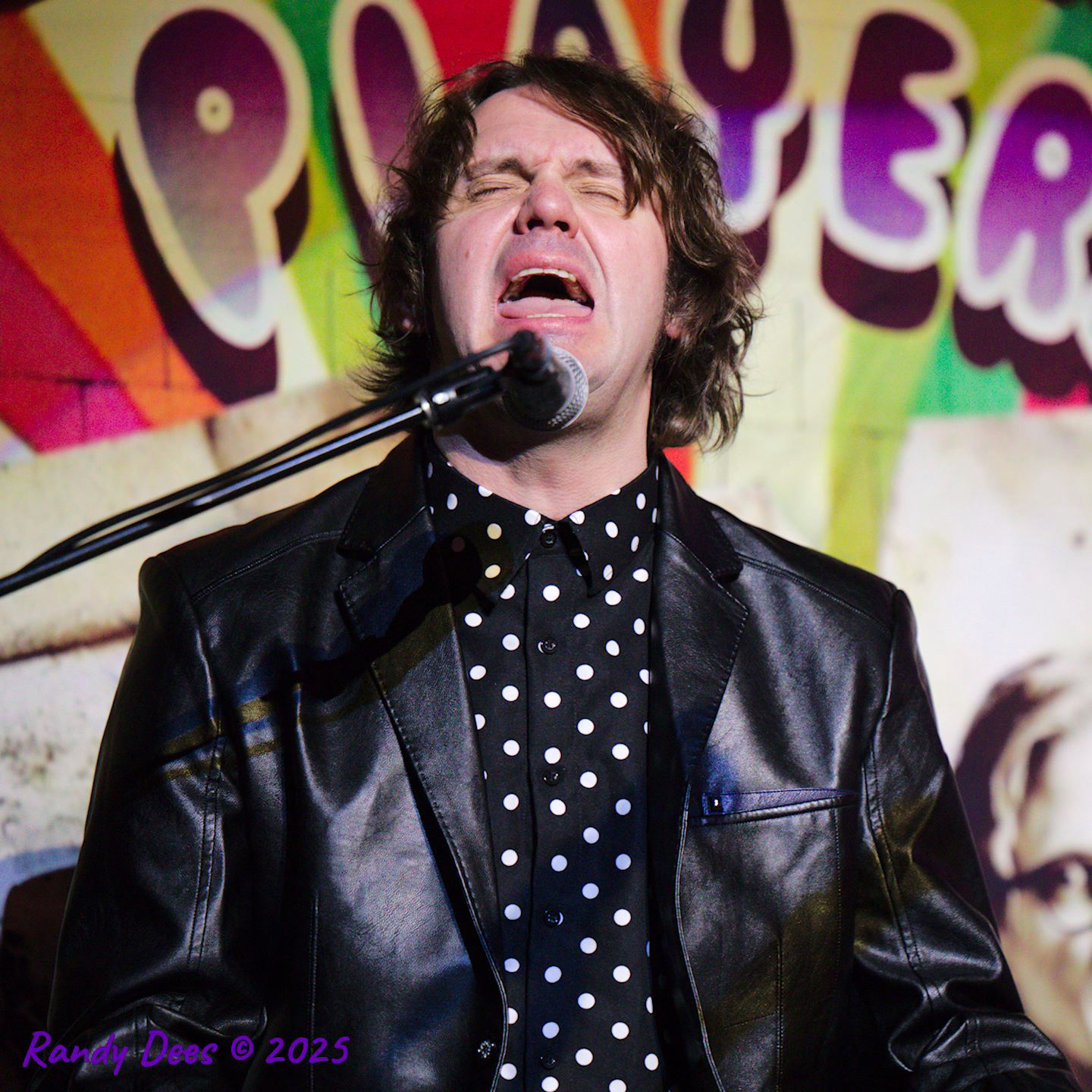 The Traveling Wilburys & Beyond