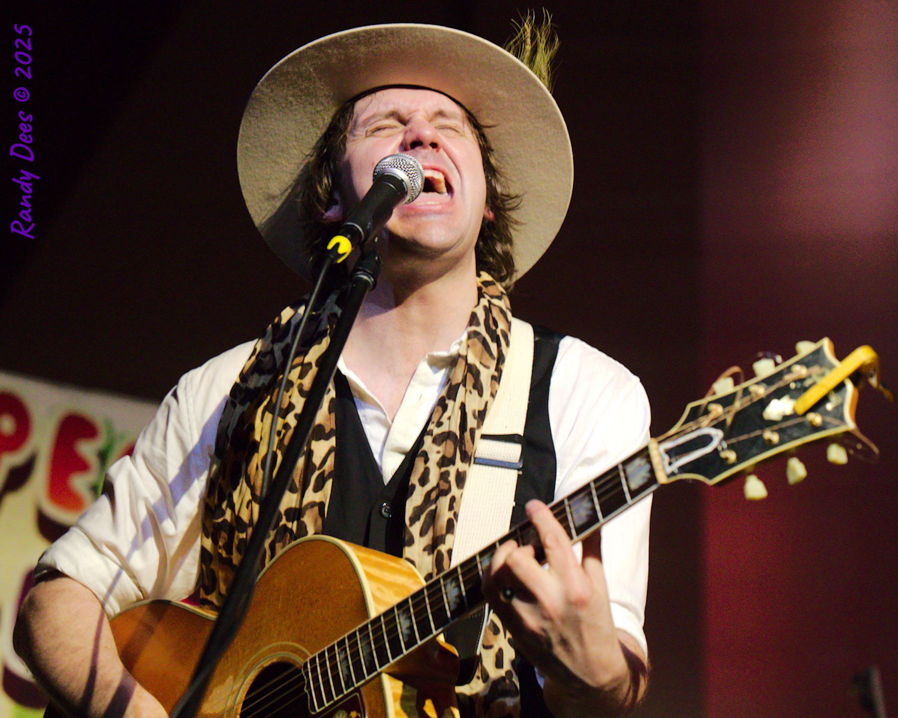 The Traveling Wilburys & Beyond