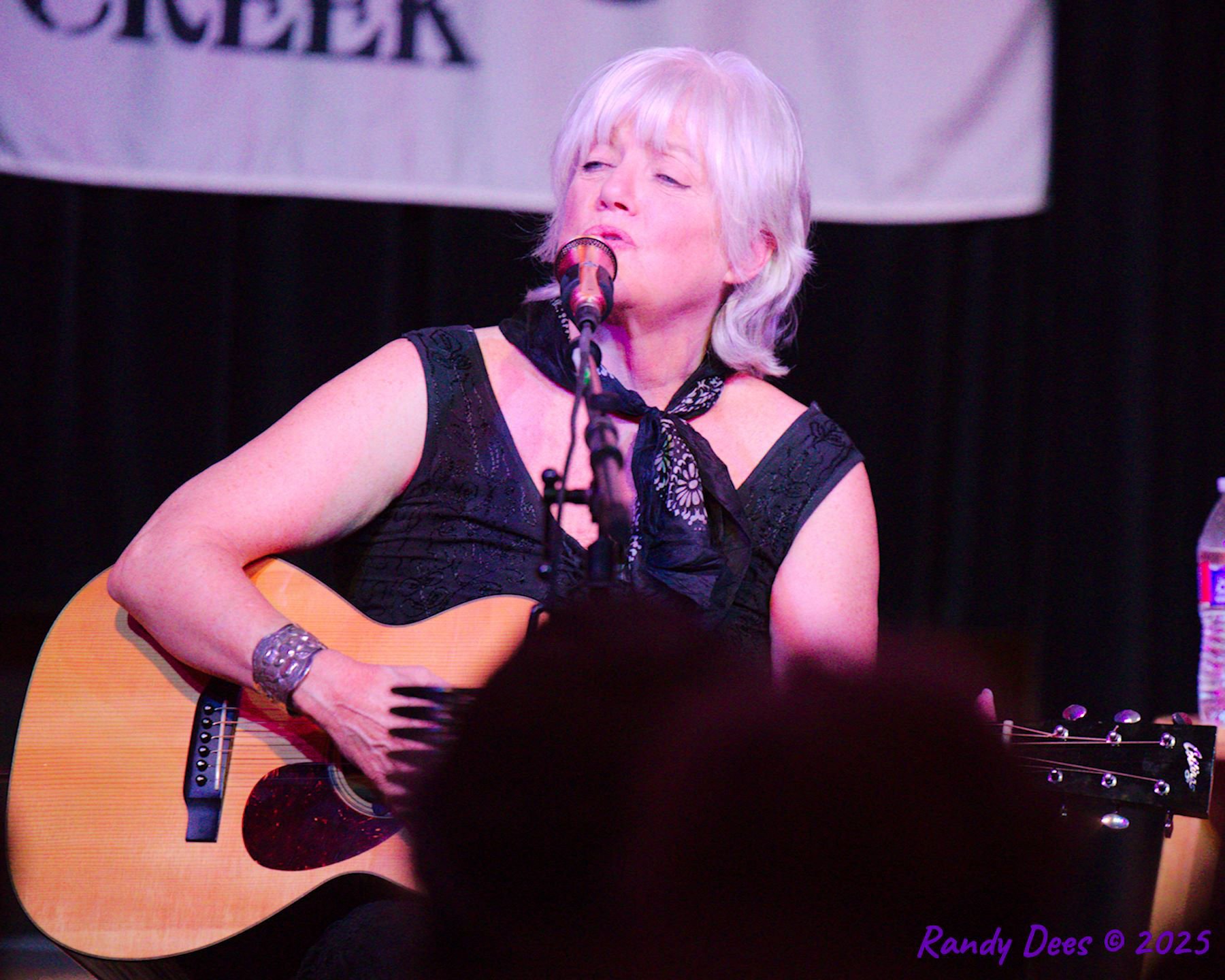 Sycamore Creek Concerts