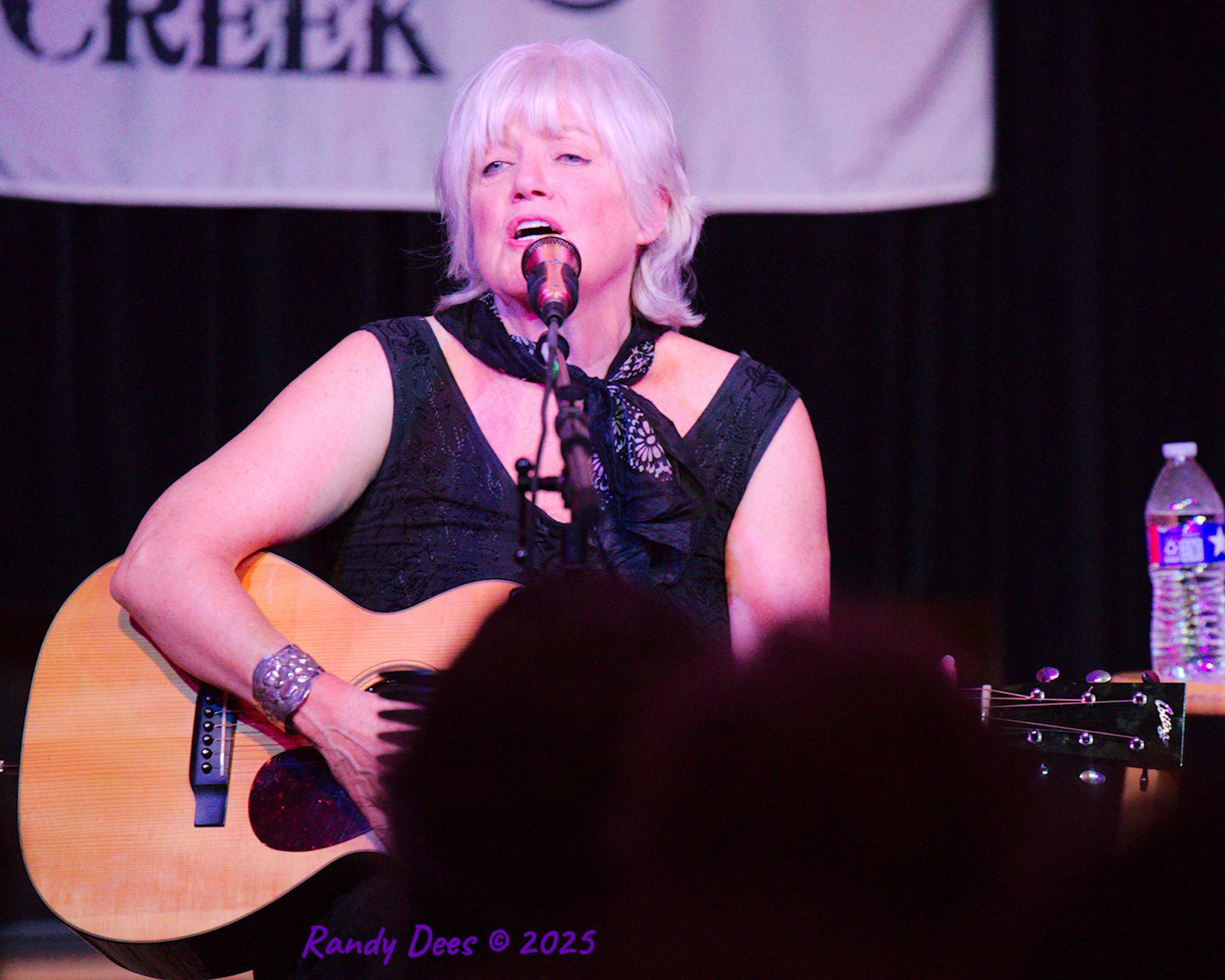 Sycamore Creek Concerts