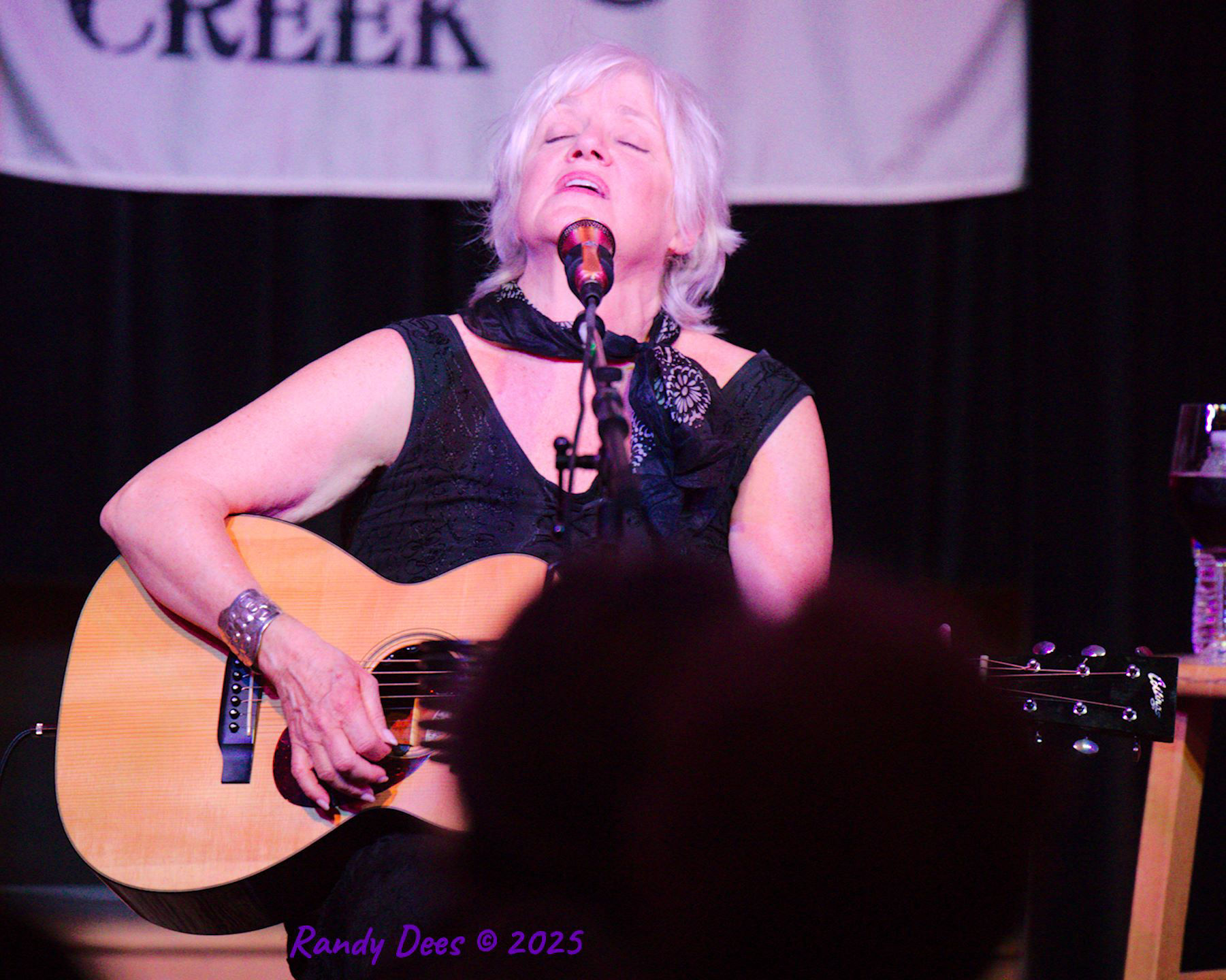 Sycamore Creek Concerts