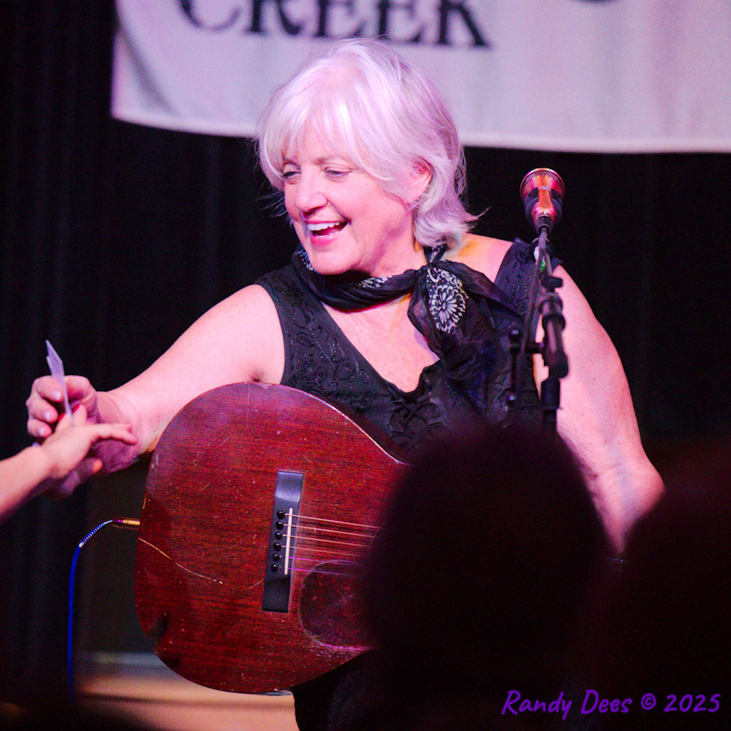 Sycamore Creek Concerts