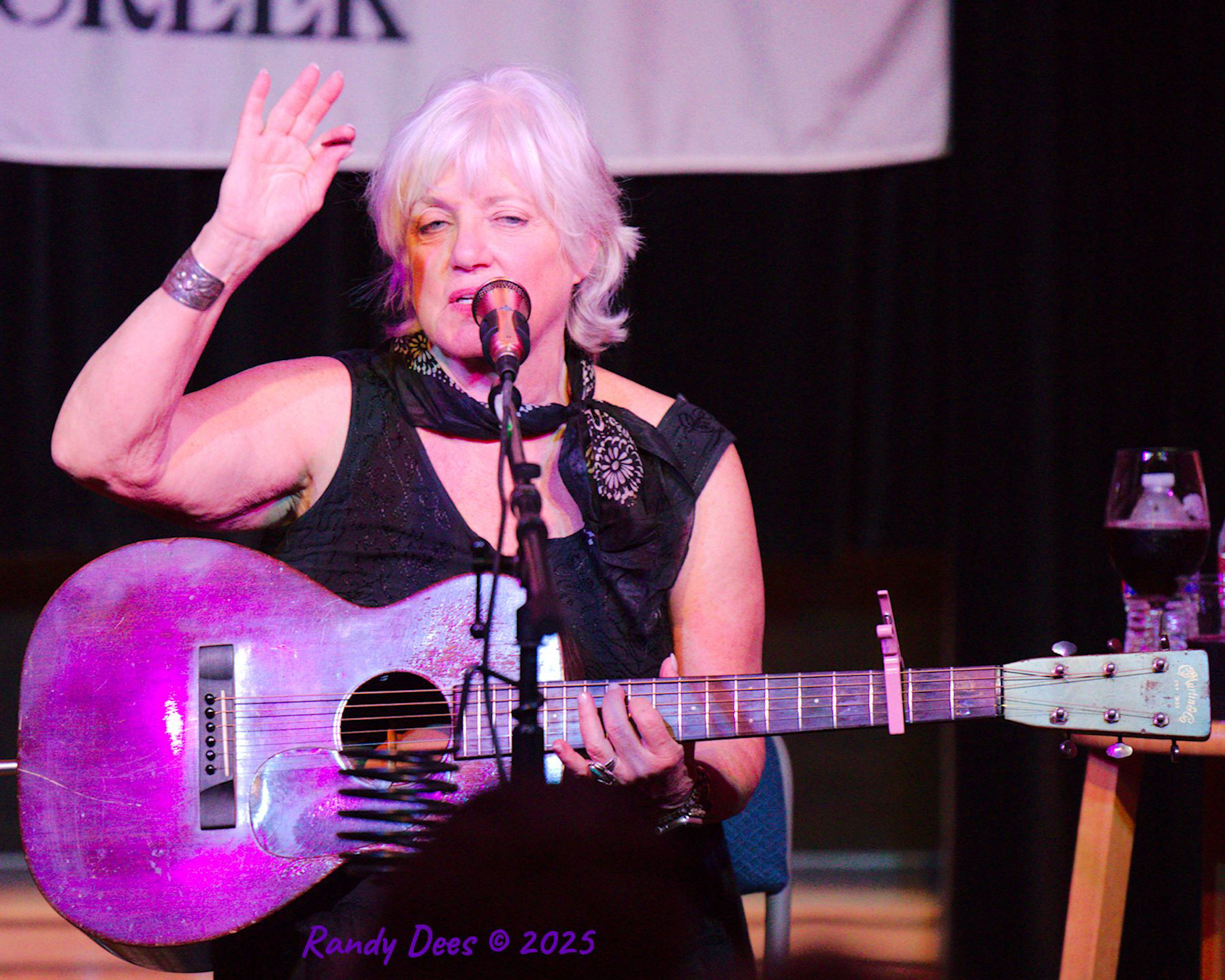 Sycamore Creek Concerts