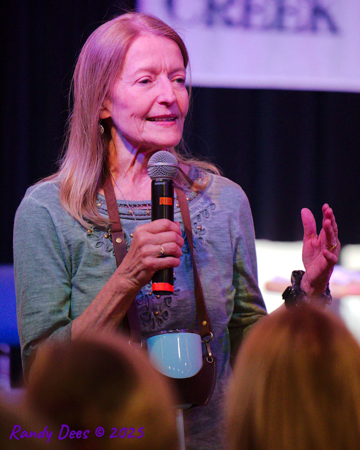 Sycamore Creek Concerts