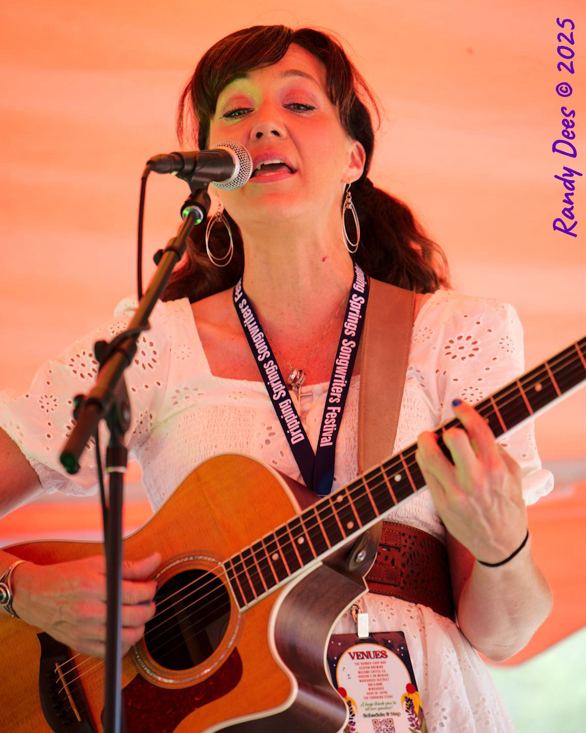 2025 Dripping Springs Songwriter Festival