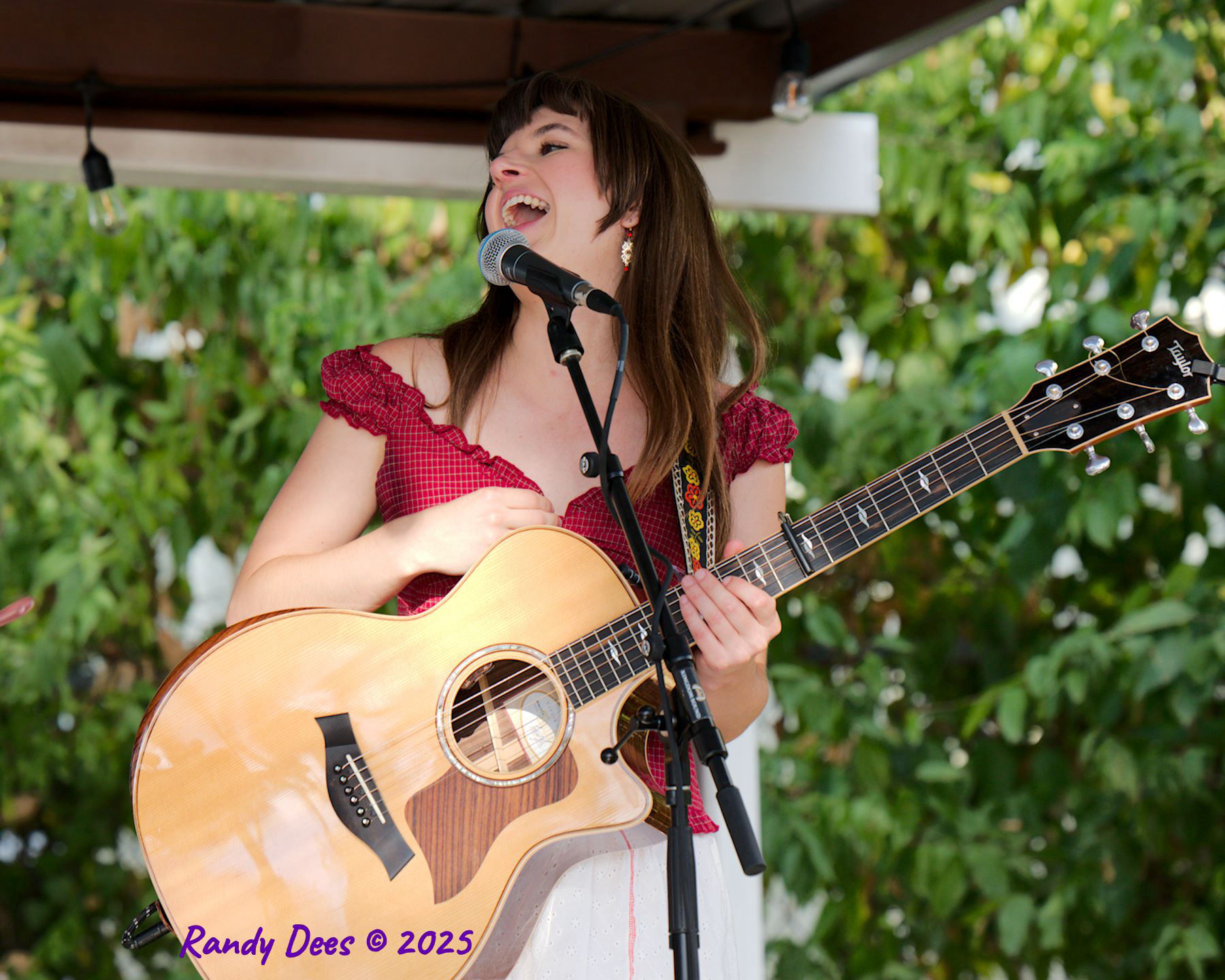 2025 Dripping Springs Songwriter Festival