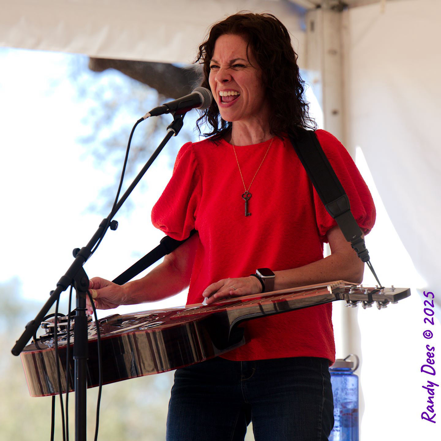 2025 Dripping Springs Songwriter Festival