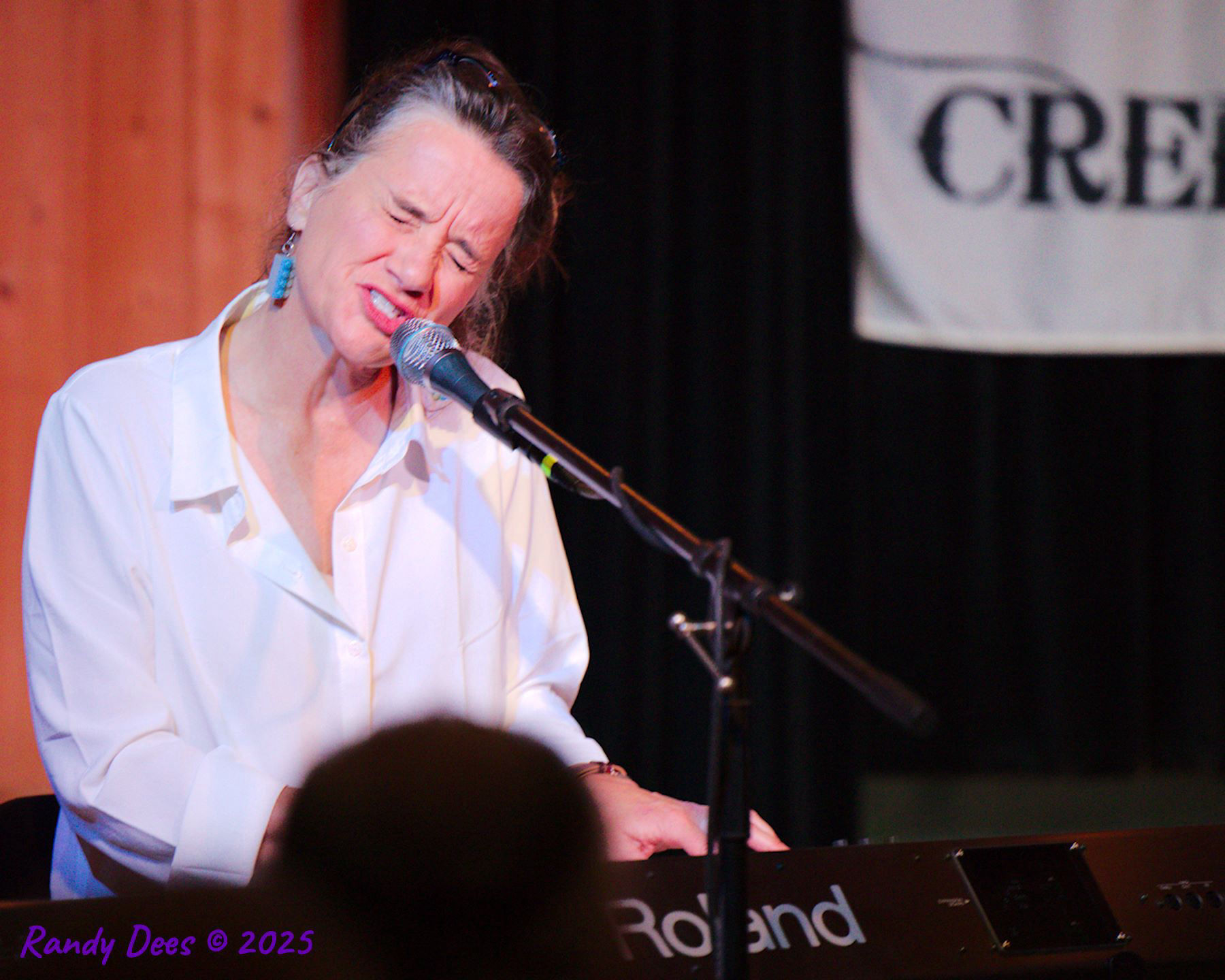 Sycamore Creek Concert