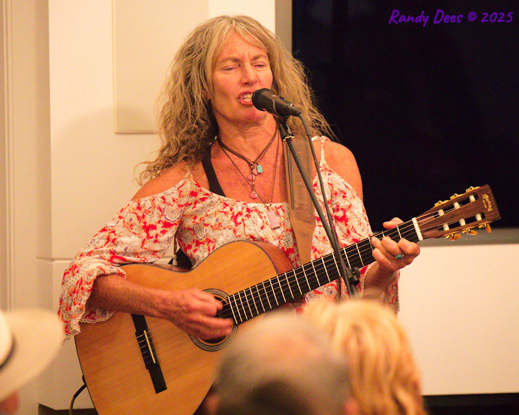 2025 Grassy Hill Kerrville Award Winner Concert 