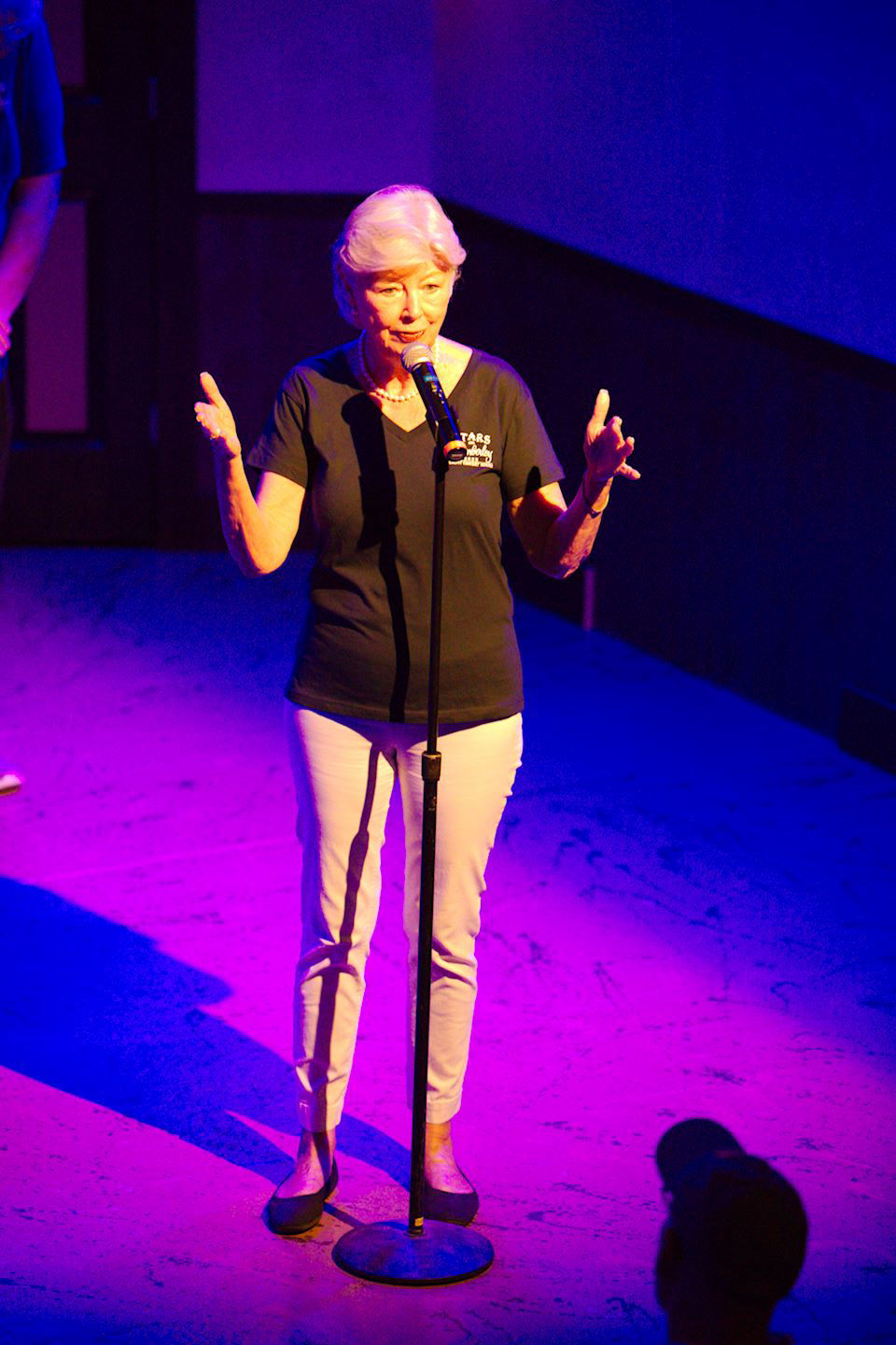 Stars Over Wimberley