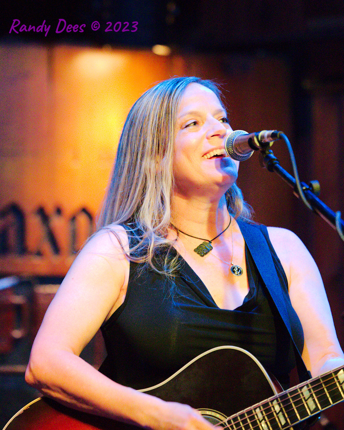 Sister Golden Hair the Band