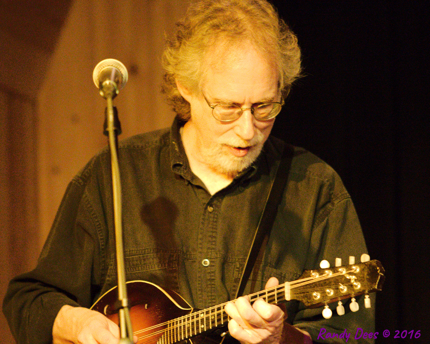 Sycamore Creek House Concerts