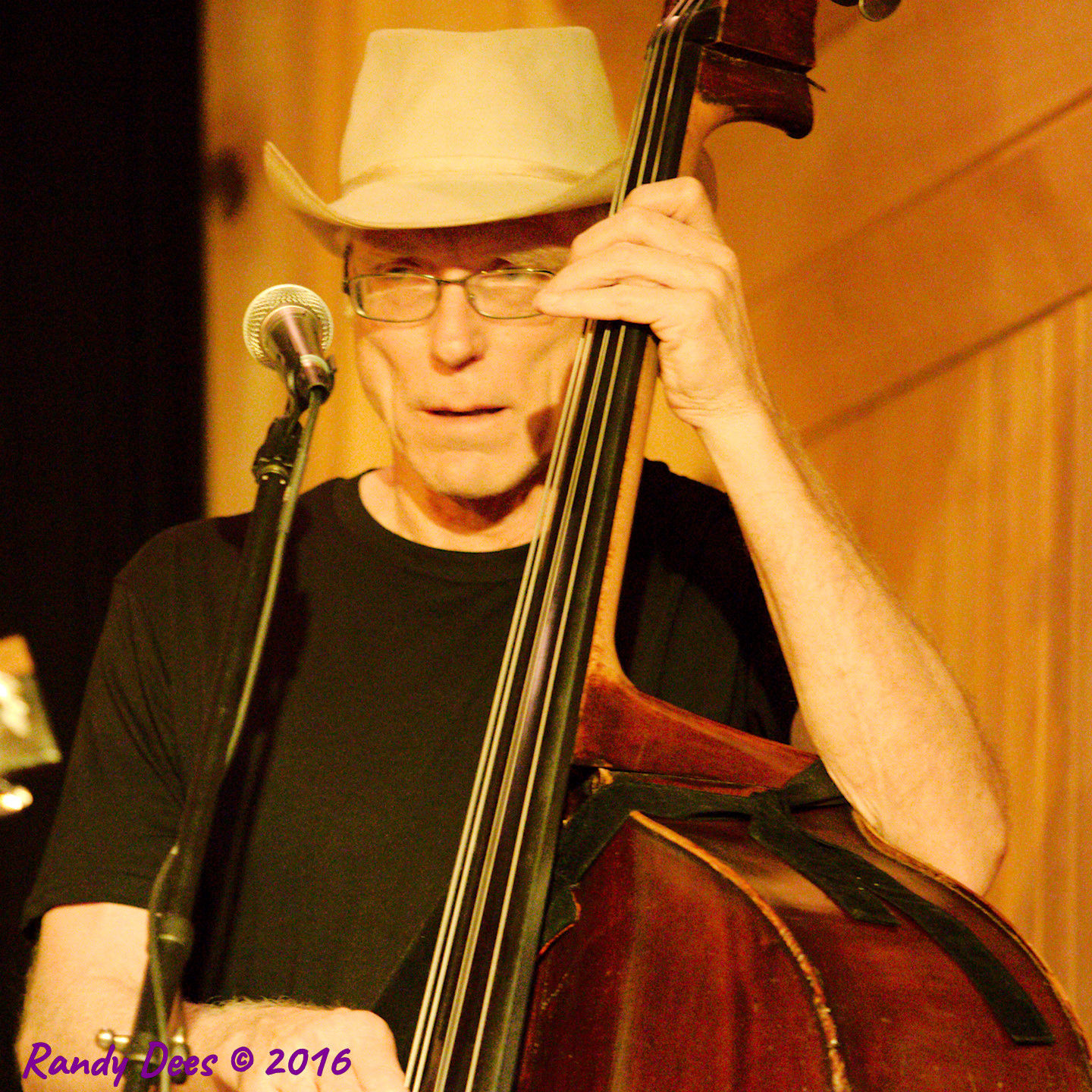 Sycamore Creek House Concerts