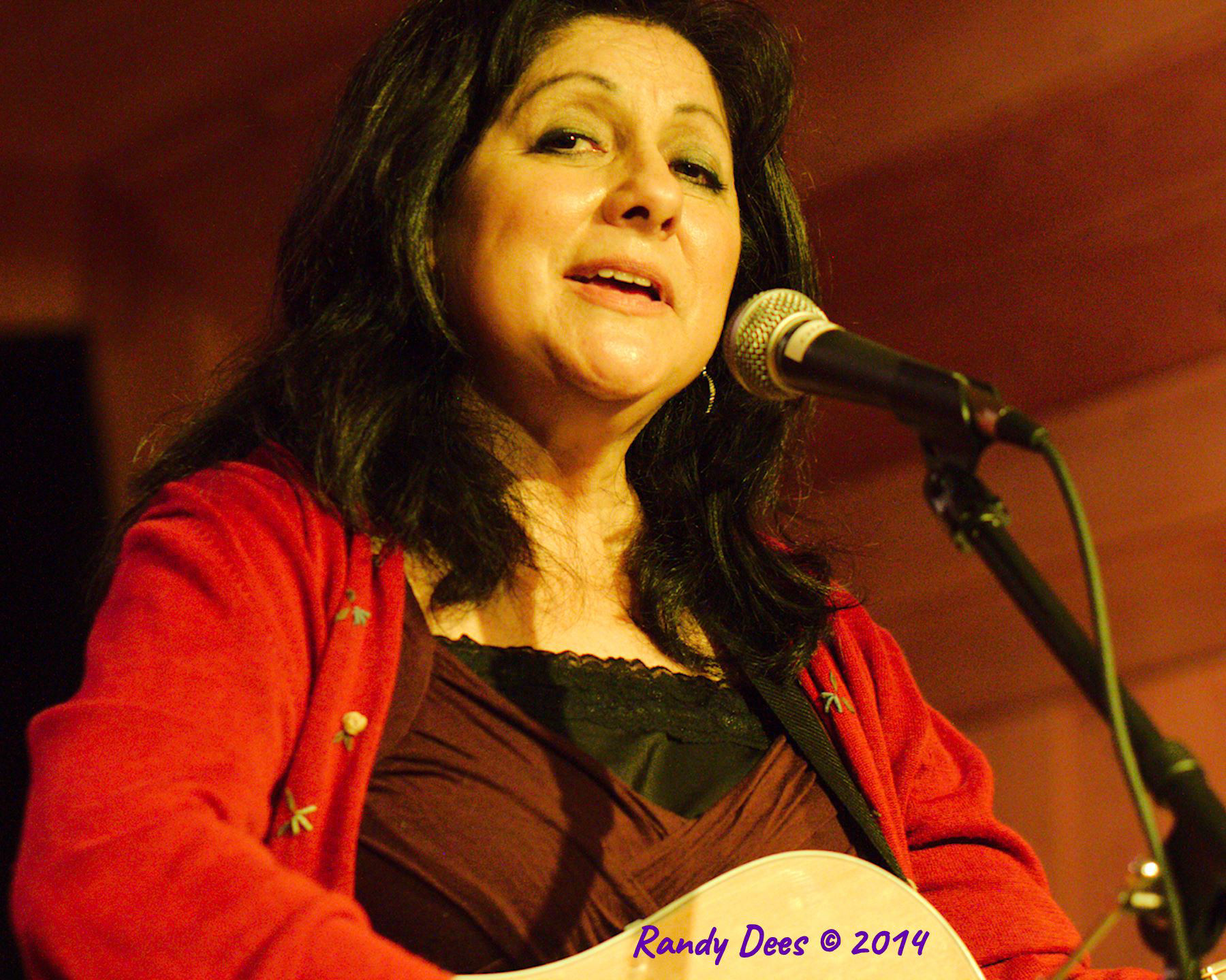 Sycamore Creek House Concerts