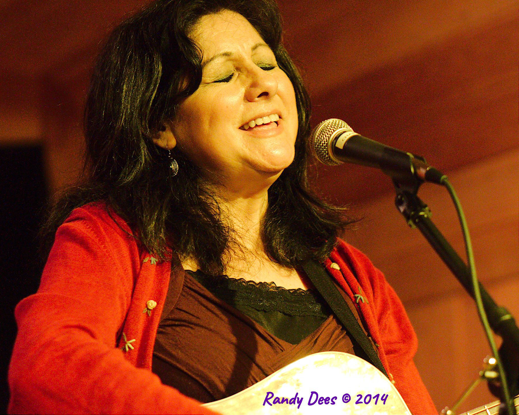 Sycamore Creek House Concerts