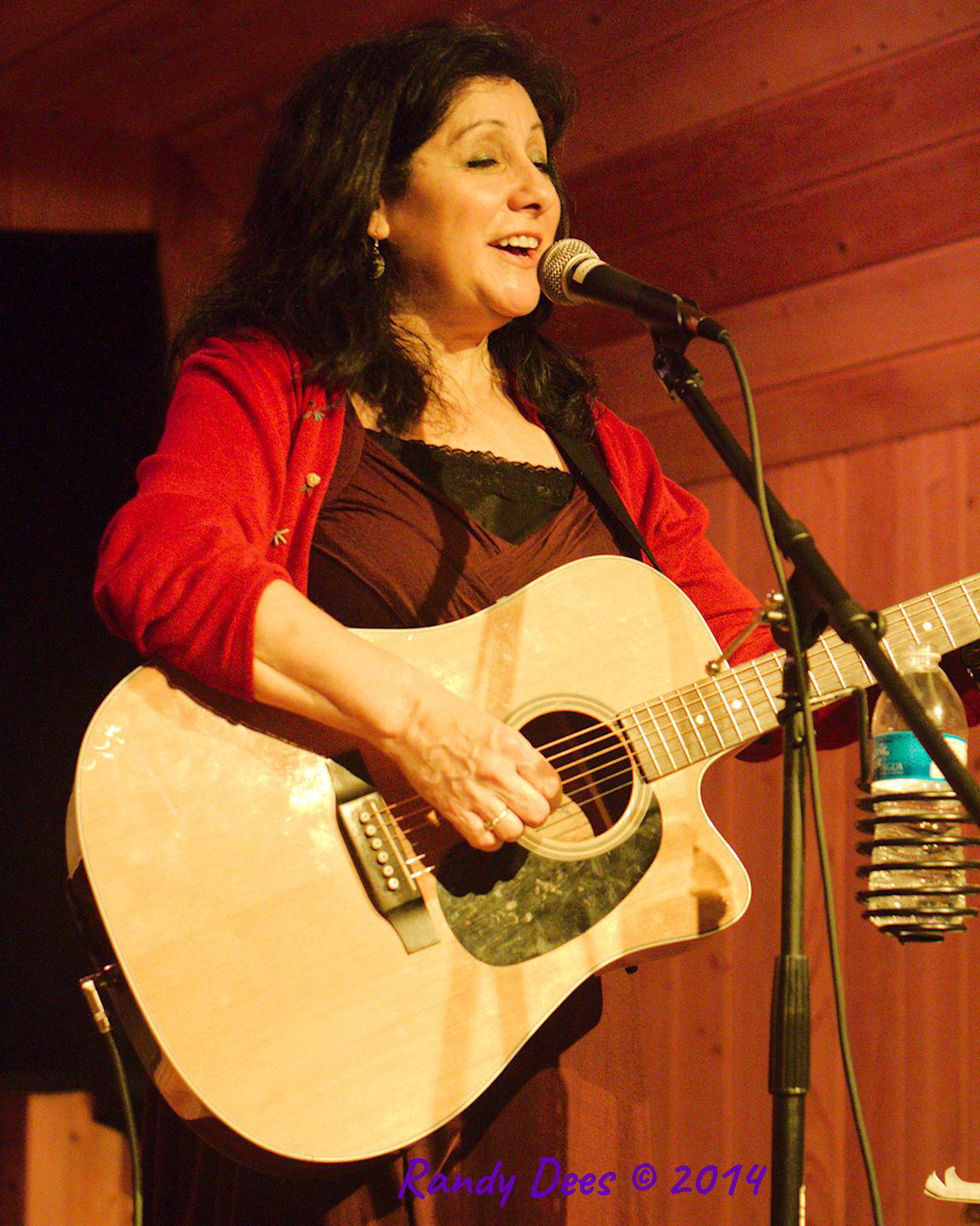 Sycamore Creek House Concerts