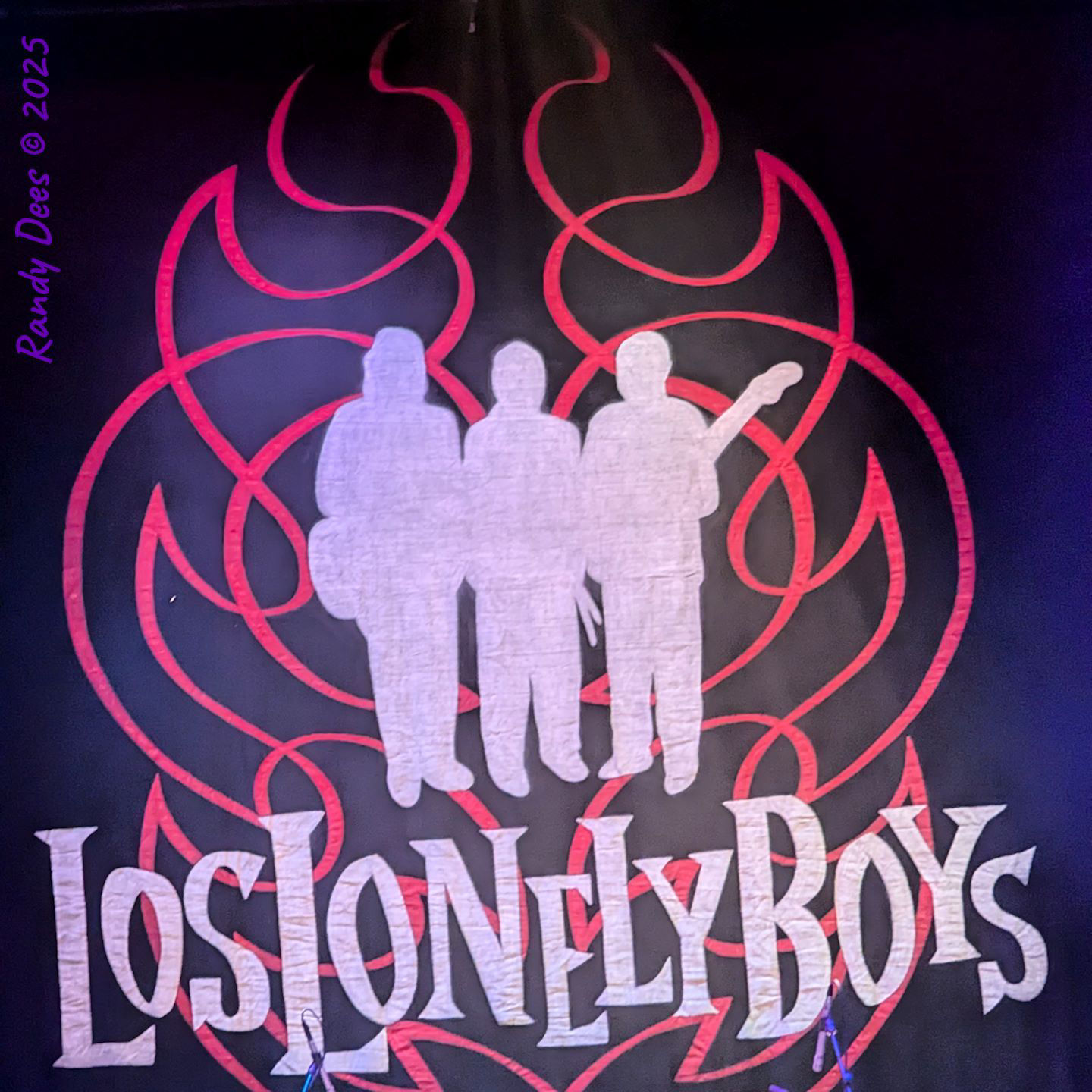 Los Lonely Boys / Del Castillo