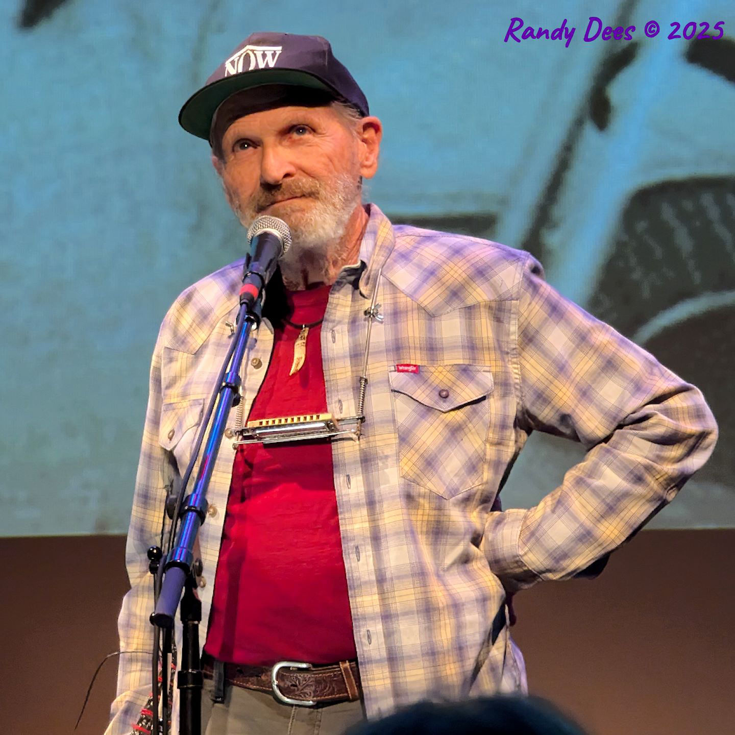 Townes Van Zandt Birthday Salute