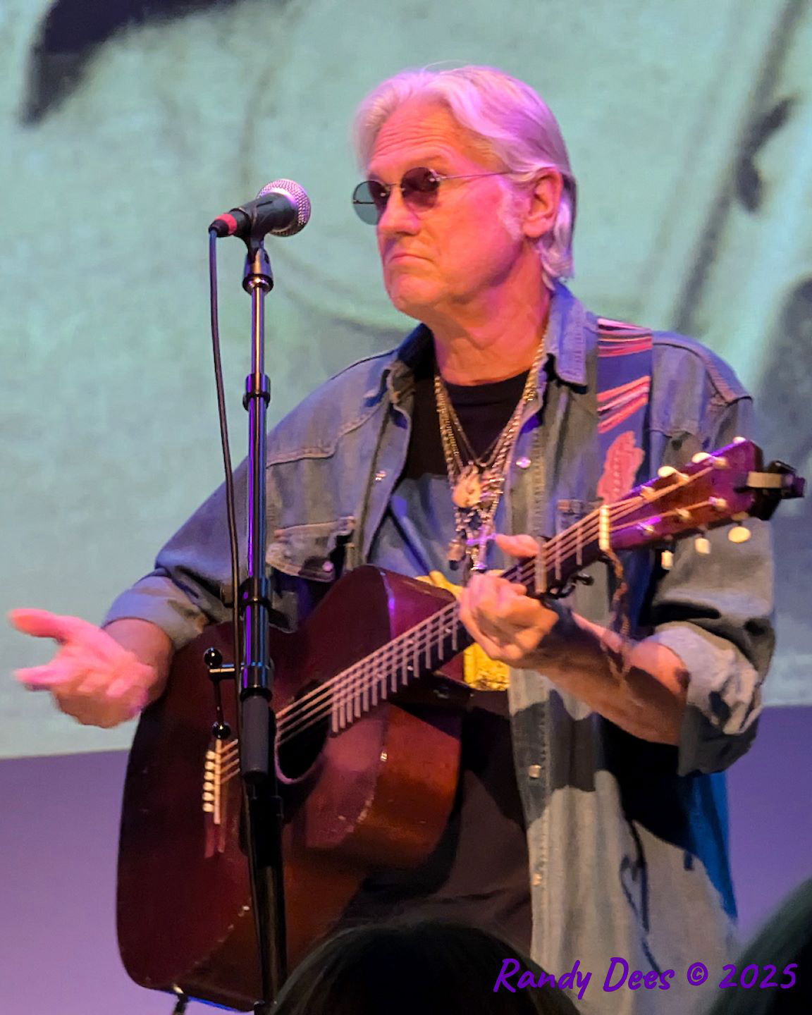 Townes Van Zandt Birthday Salute