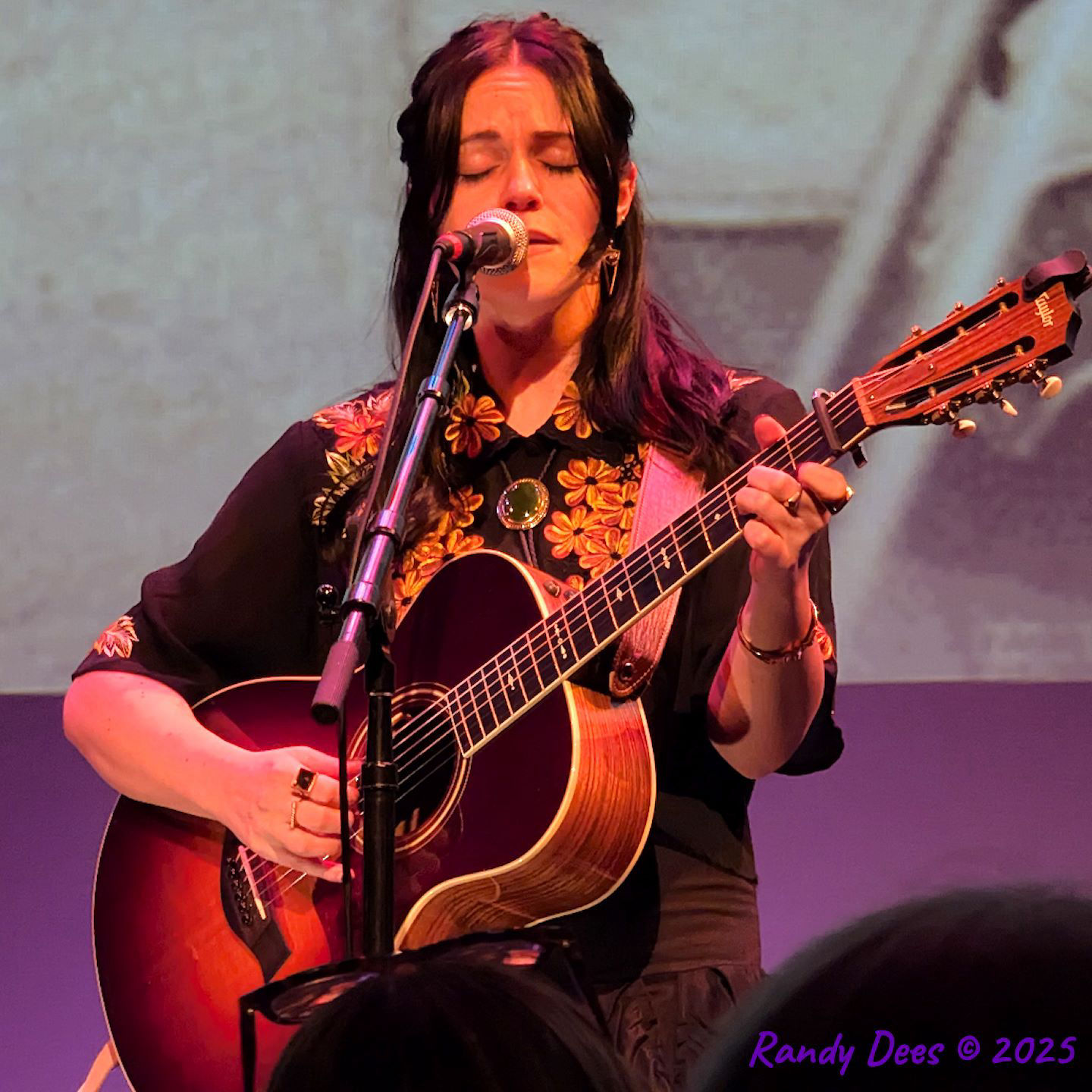Townes Van Zandt Birthday Salute