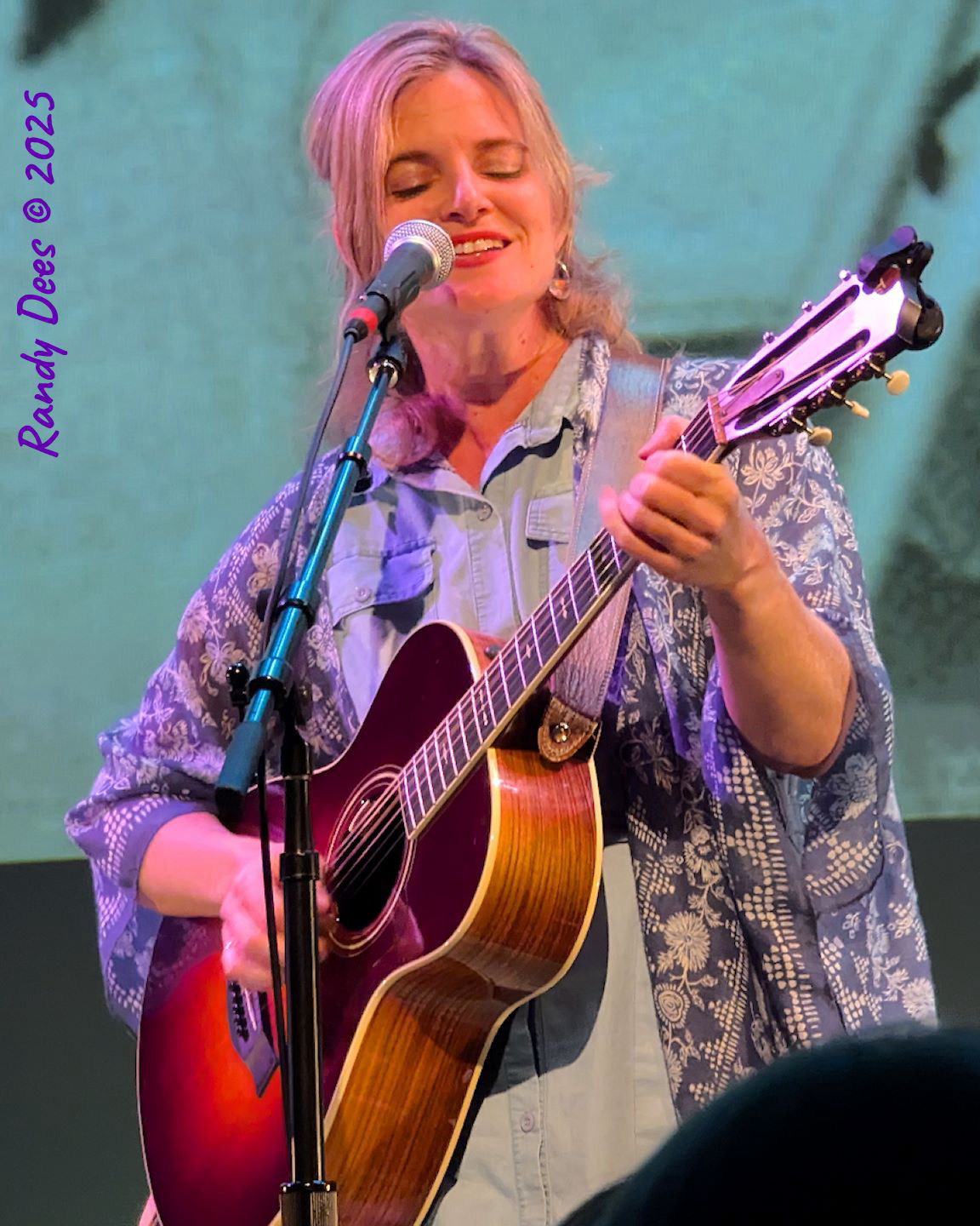 Townes Van Zandt Birthday Salute