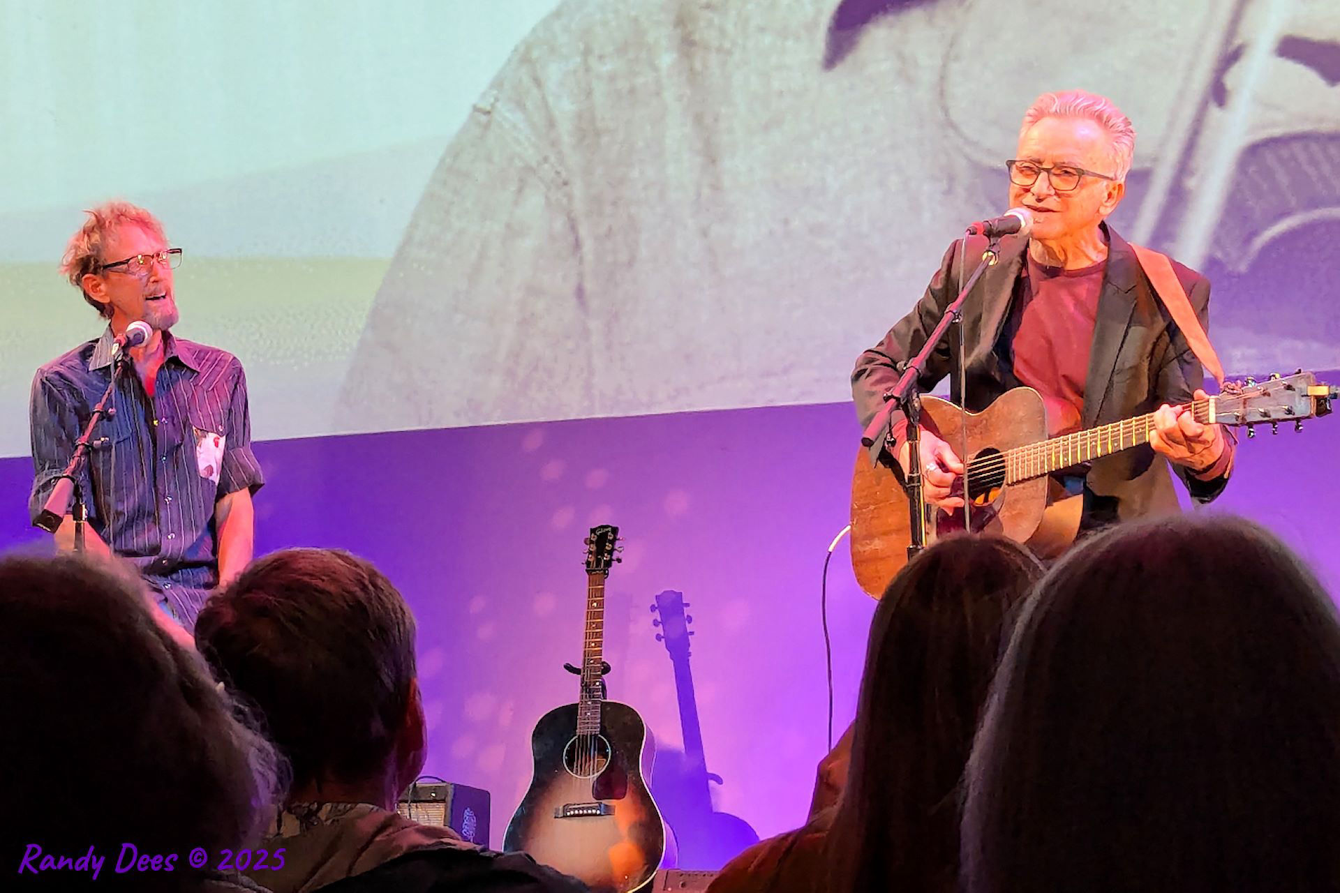 Townes Van Zandt Birthday Salute