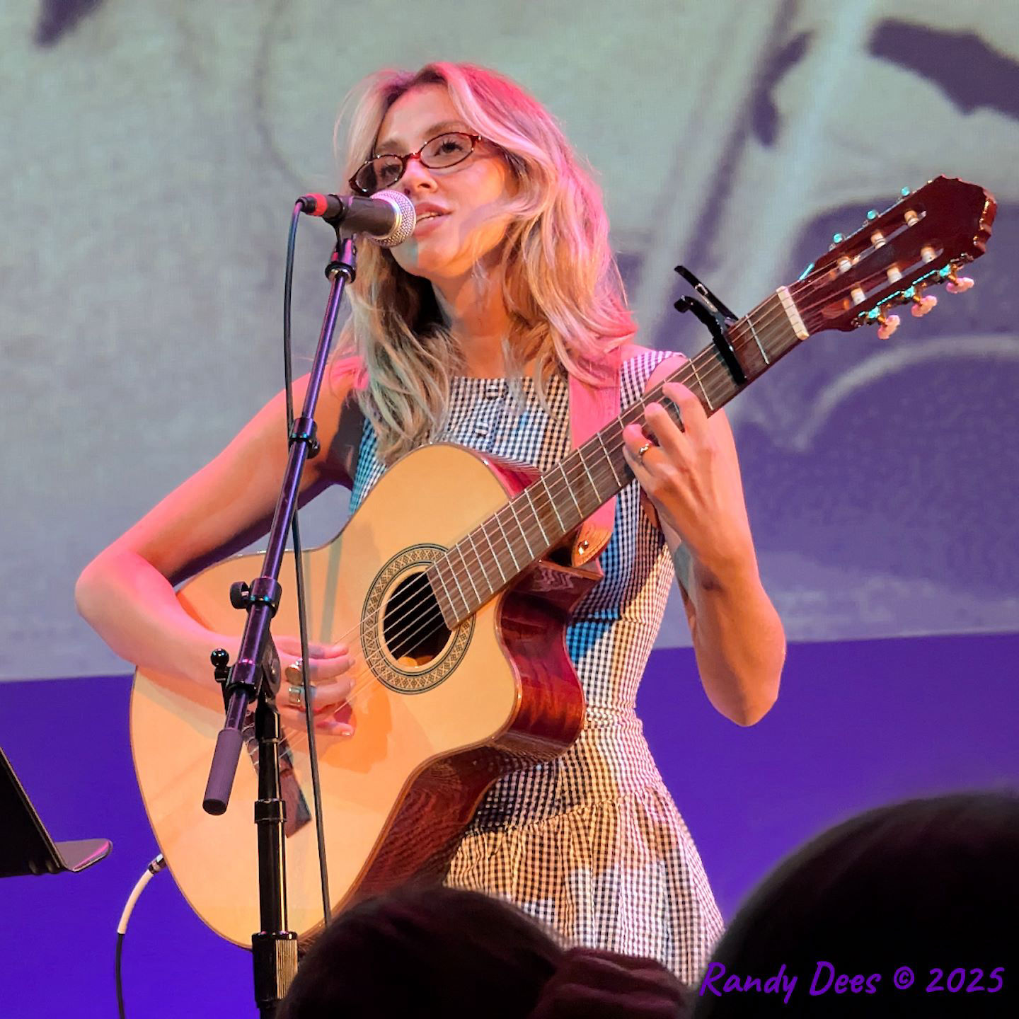 Townes Van Zandt Birthday Salute