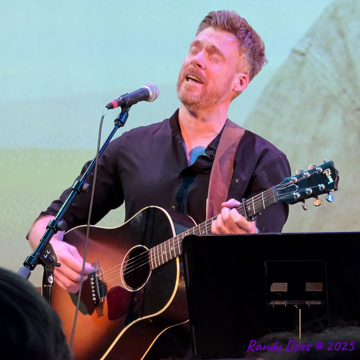 Townes Van Zandt Birthday Salute