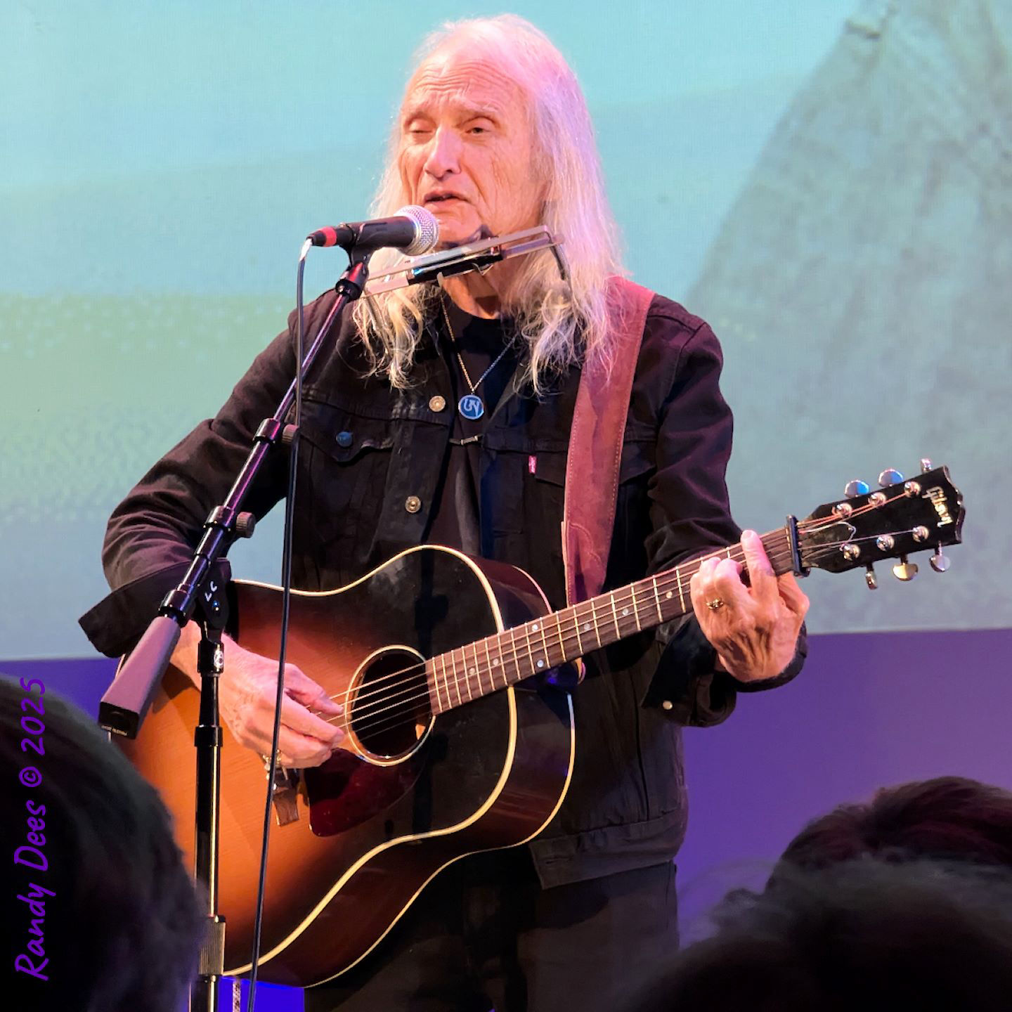 Townes Van Zandt Birthday Salute