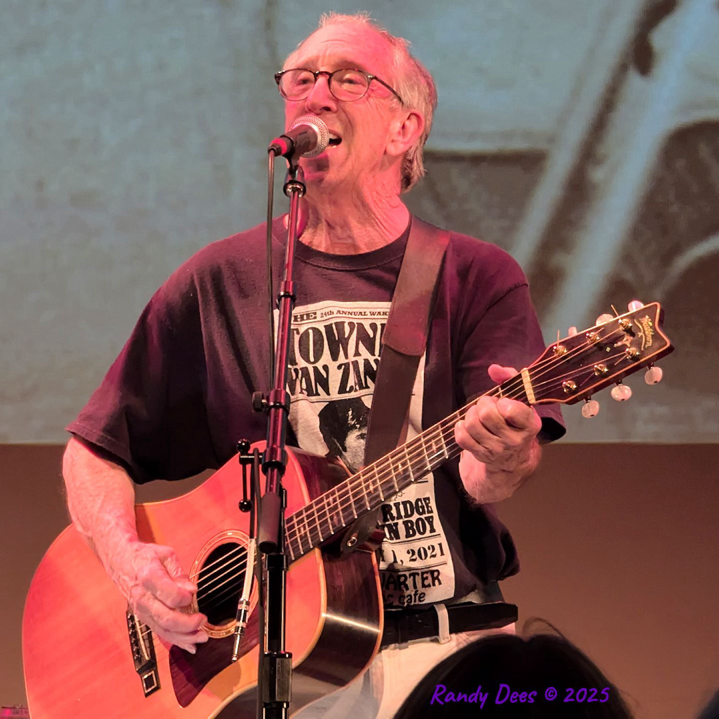 Townes Van Zandt Birthday Salute