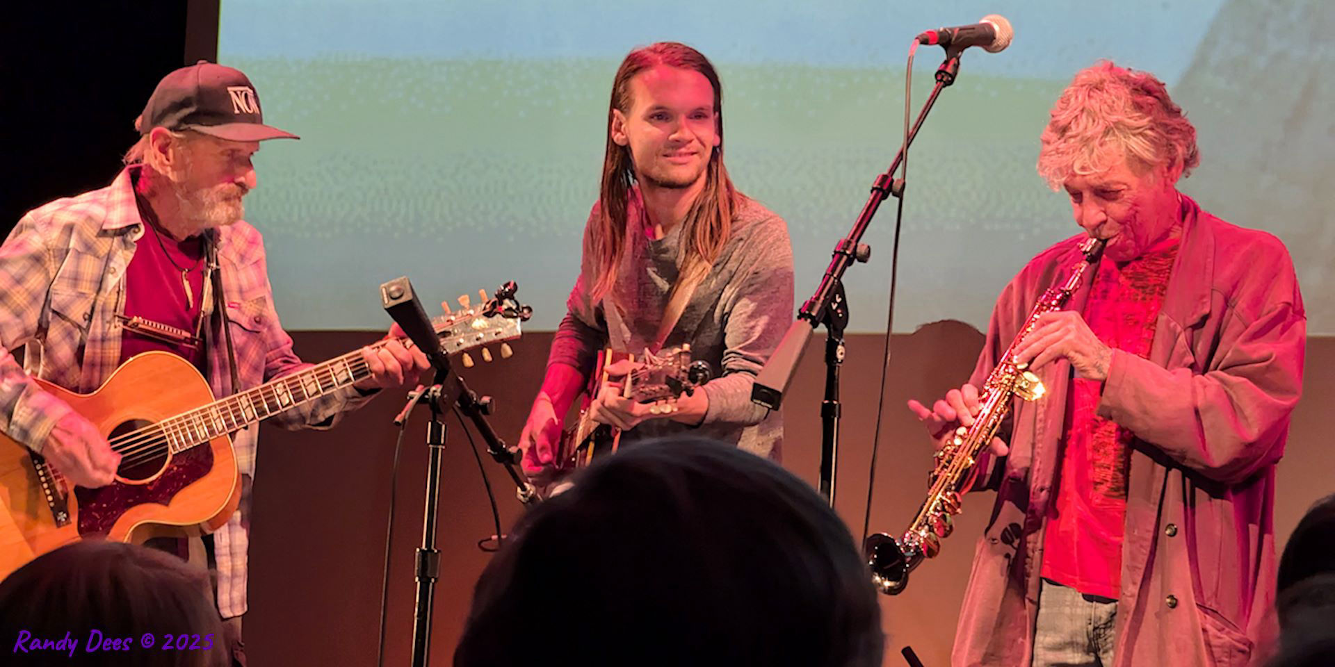 Townes Van Zandt Birthday Salute